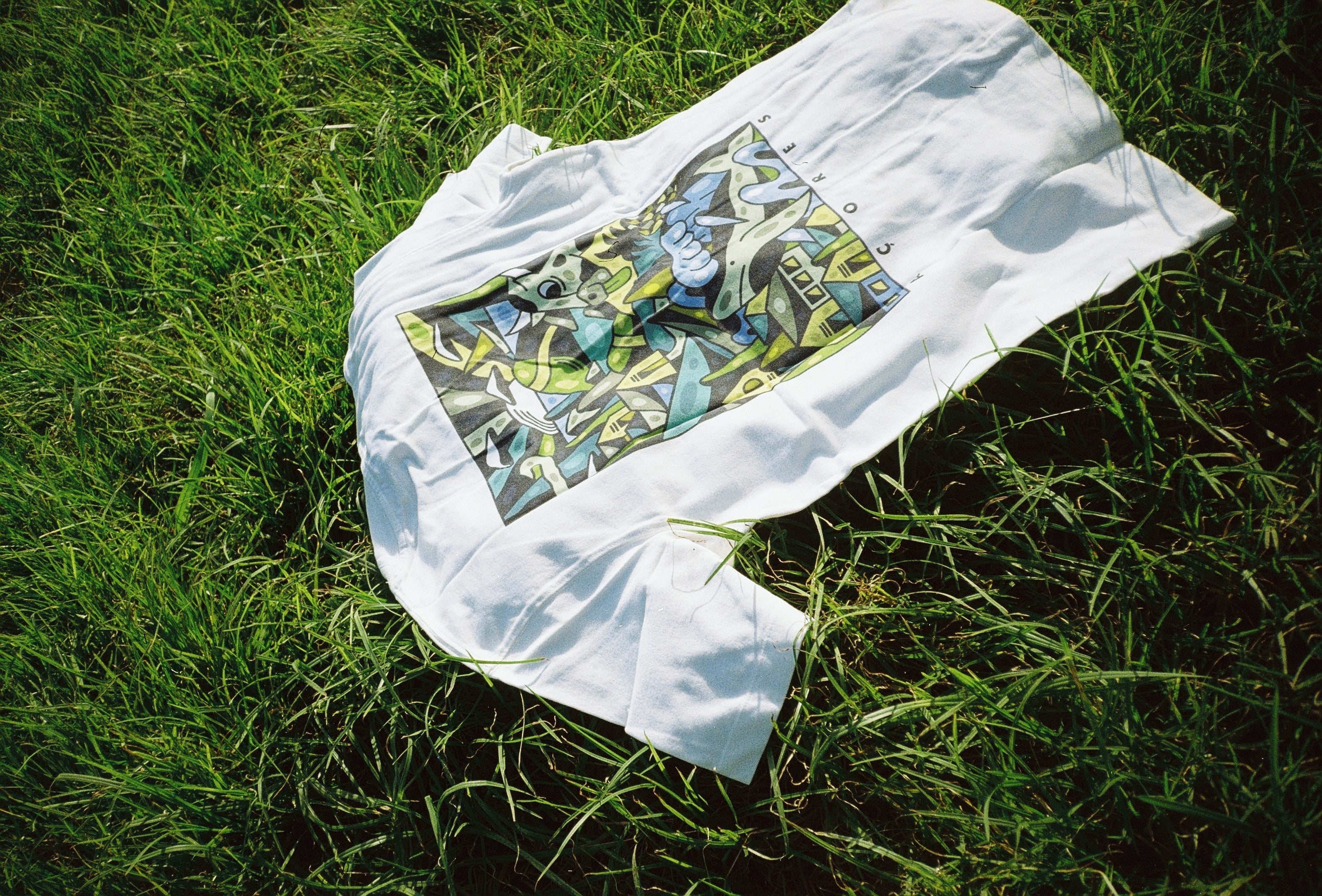 Sustainable Swaps Our Community Loves: Simple Shifts for a Greener Life